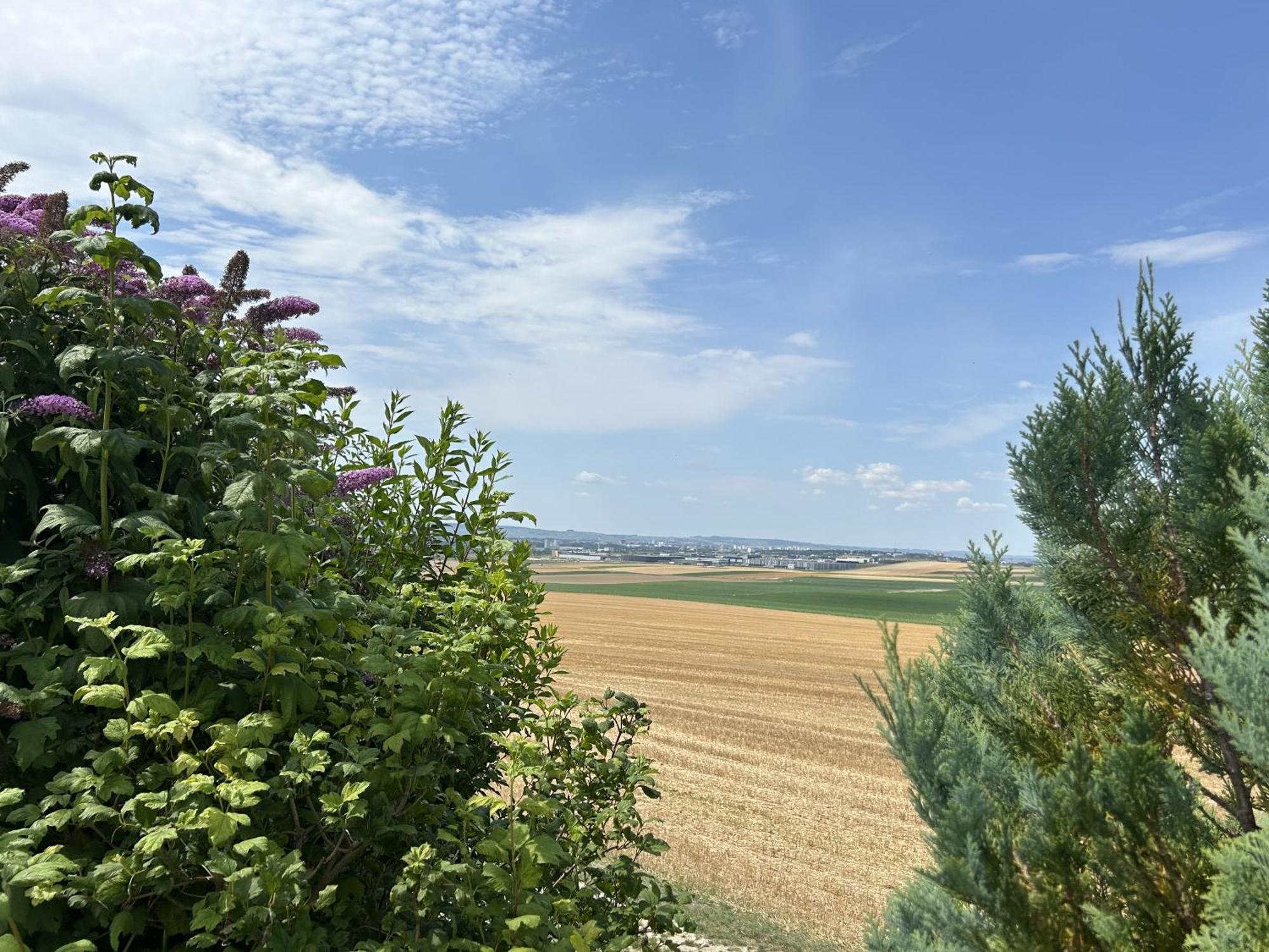 L'Intemporel Cernay-les-Reims エクステリア 写真